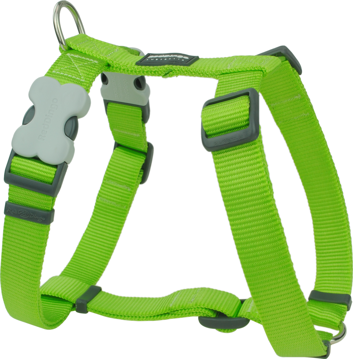 Green Harness and Leash Set