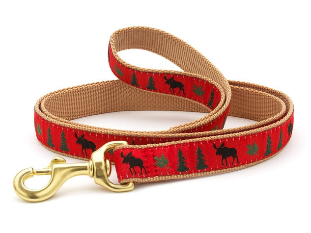 Up country dog outlet leash