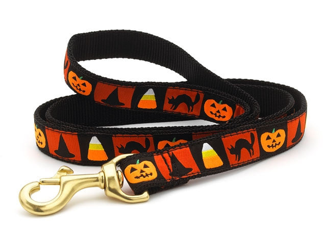 Halloween dog sale collar and leash