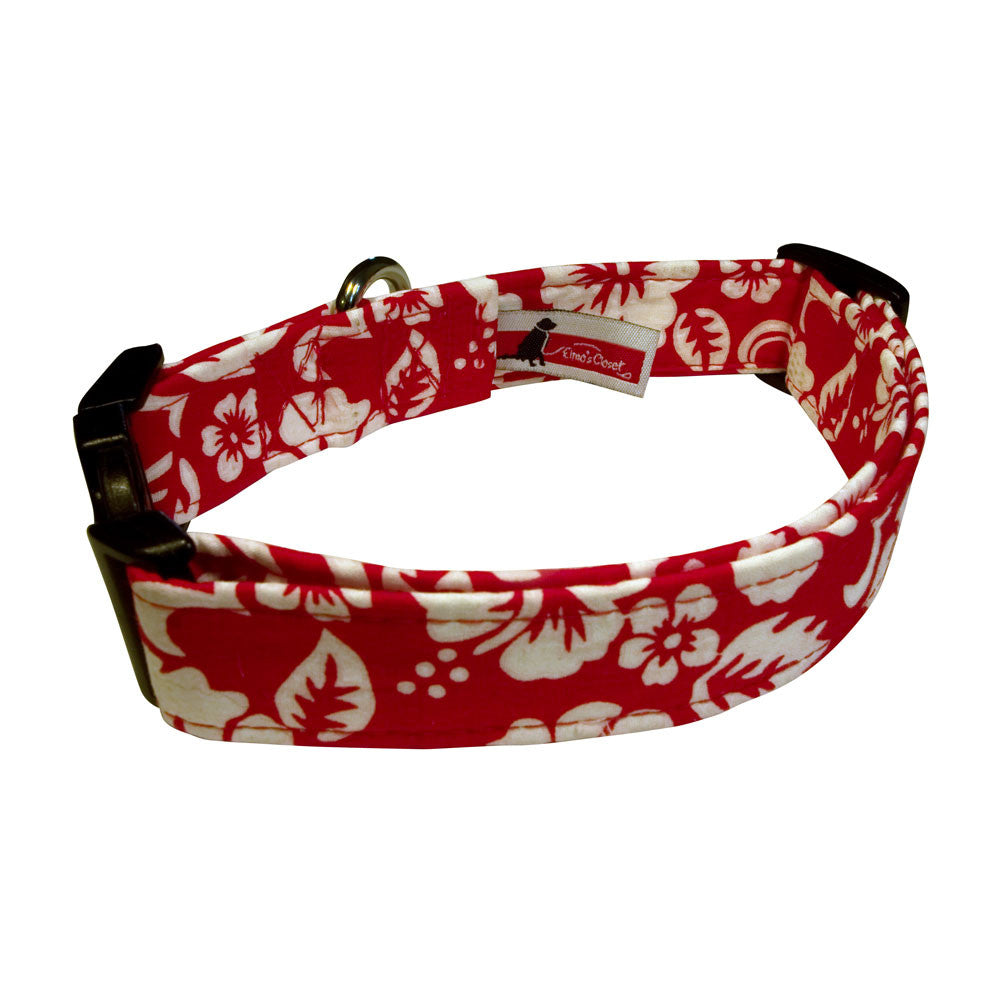 Dog Collars for Sale 