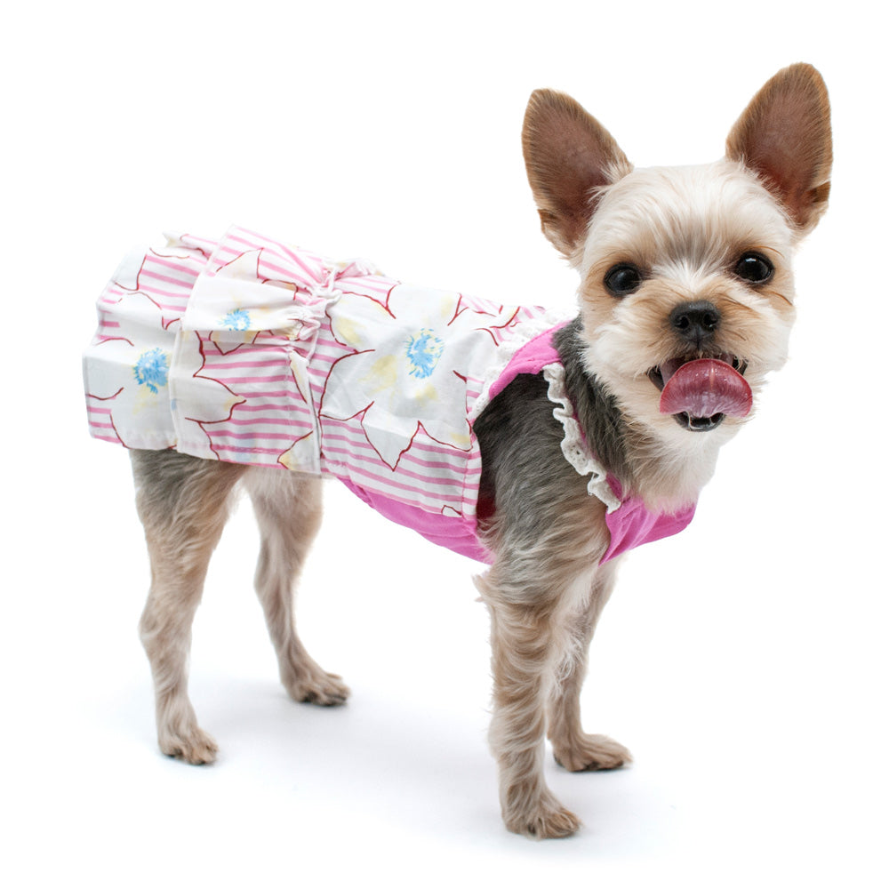 Flamingo dog outlet dress