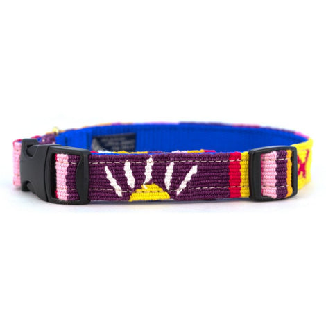 Dog Collars