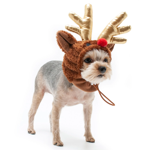 Red Nose Reindeer Hat For Dogs