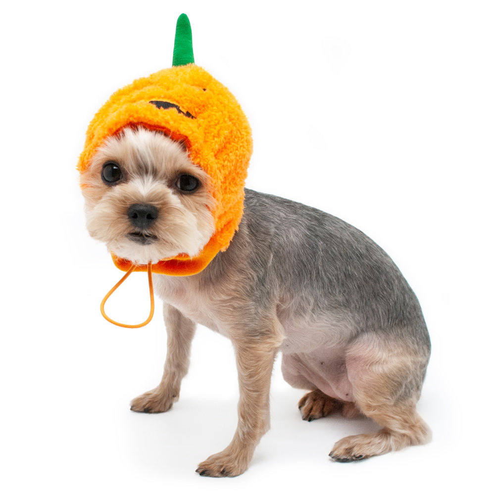 Pumpkin Hat for Dogs