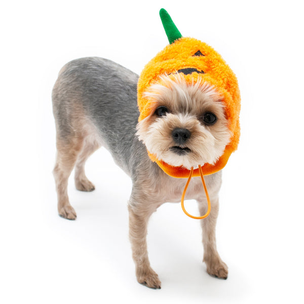 Pumpkin Hat for Dogs