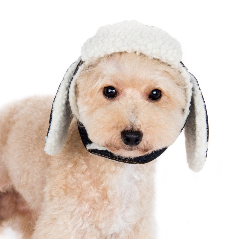 Dog bomber hat best sale