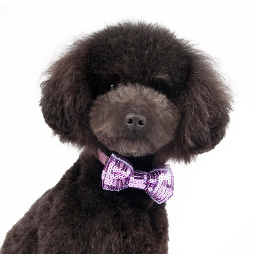 EasyBow Dog Bow Tie Purple Sequins PupLife Dog Supplies