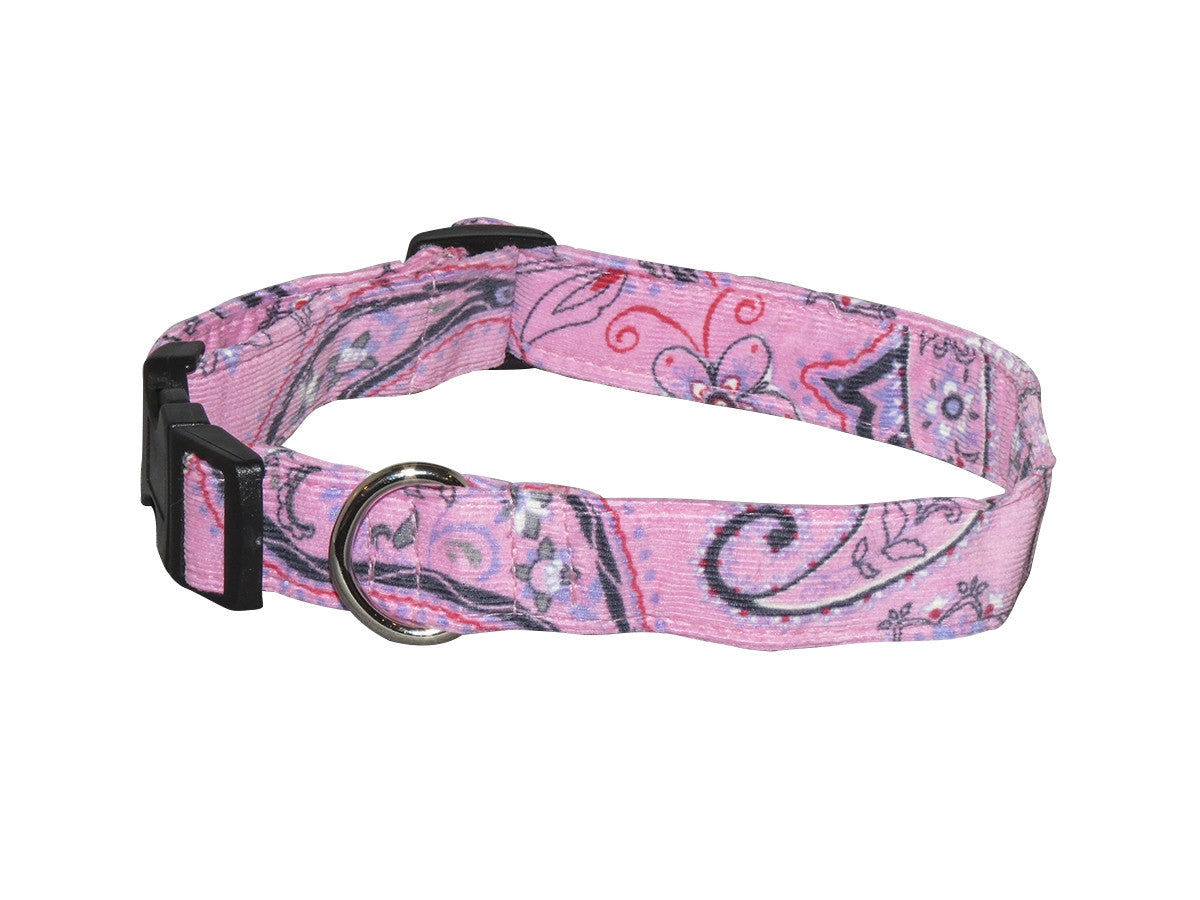 Pink paisley 2024 dog collar