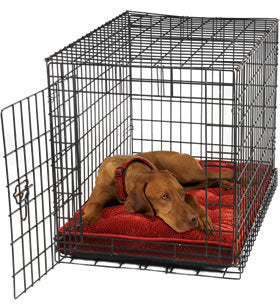 Bowsers luxury crate mattress best sale