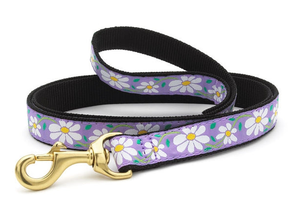 Daisy dog collar and leash best sale